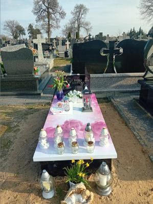 Hanna Sośnicka 2023 Klembów - Grobonet - Wyszukiwarka osób pochowanych